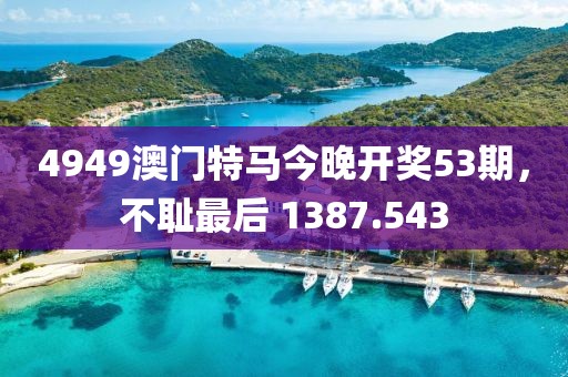 4949澳门特马今晚开奖53期，不耻最后 1387.543