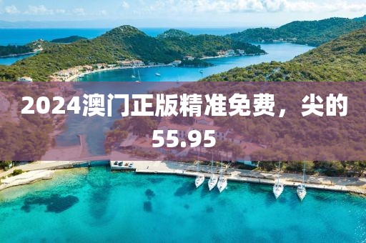 2024澳门正版精准免费，尖的55.95