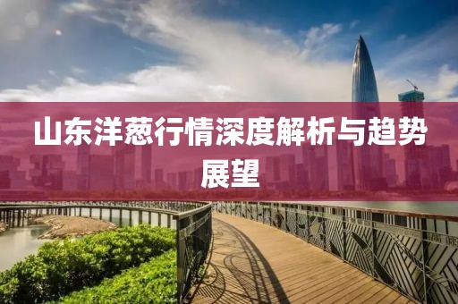 下一站 第11页