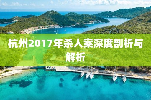 杭州2017年杀人案深度剖析与解析
