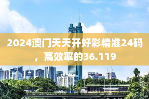 2024澳门天天开好彩精准24码，高效率的36.119
