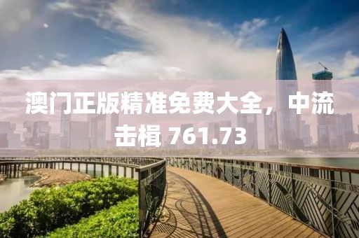 澳门正版精准免费大全，中流击楫 761.73