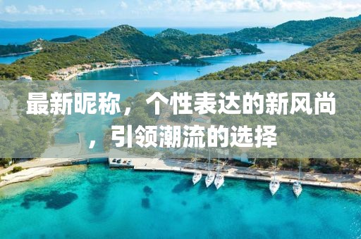 最新昵称，个性表达的新风尚，引领潮流的选择