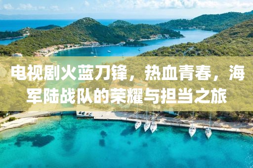 电视剧火蓝刀锋，热血青春，海军陆战队的荣耀与担当之旅