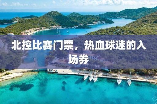 北控比赛门票，热血球迷的入场券