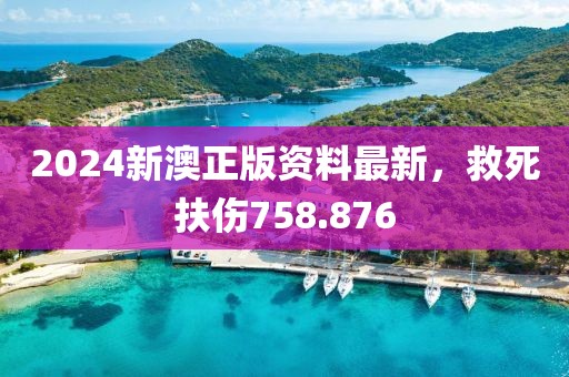 2024新澳正版资料最新，救死扶伤758.876