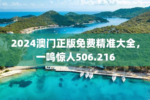 2024澳门正版免费精准大全，一鸣惊人506.216