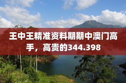 王中王精准资料期期中澳门高手，高贵的344.398