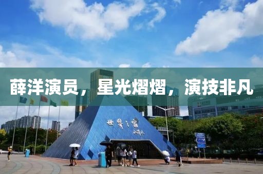 薛洋演员，星光熠熠，演技非凡