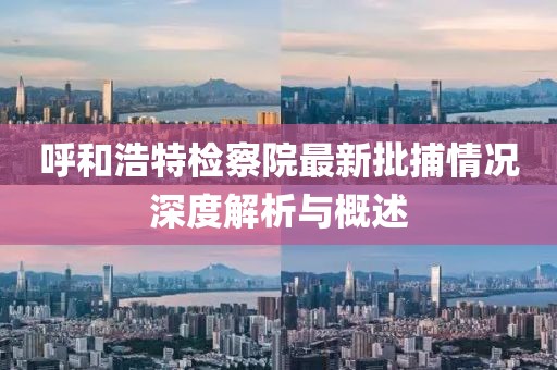 呼和浩特检察院最新批捕情况深度解析与概述