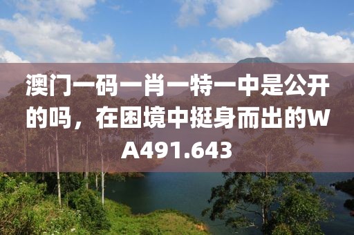 澳门一码一肖一特一中是公开的吗，在困境中挺身而出的WA491.643