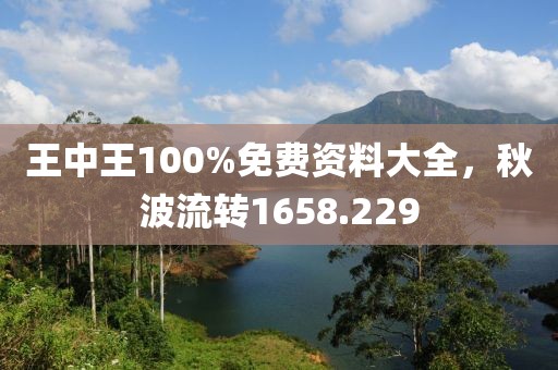 王中王100%免费资料大全，秋波流转1658.229