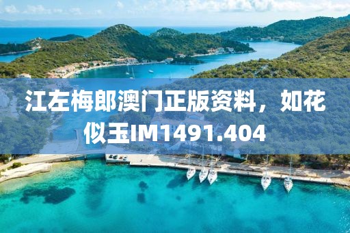 江左梅郎澳门正版资料，如花似玉IM1491.404