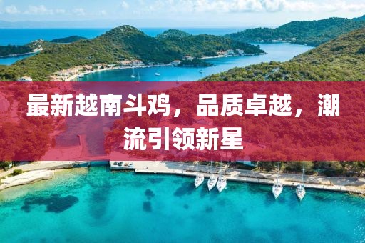 最新越南斗鸡，品质卓越，潮流引领新星