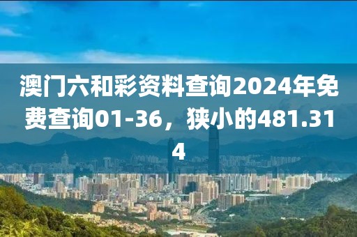 澳门六和彩资料查询2024年免费查询01-36，狭小的481.314