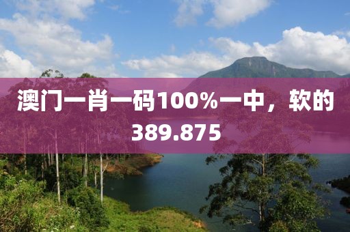 澳门一肖一码100%一中，软的389.875