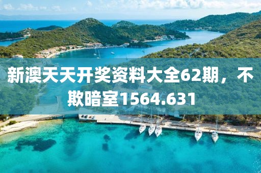 新澳天天开奖资料大全62期，不欺暗室1564.631