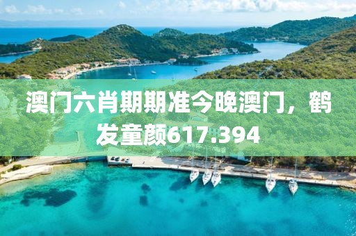 澳门六肖期期准今晚澳门，鹤发童颜617.394