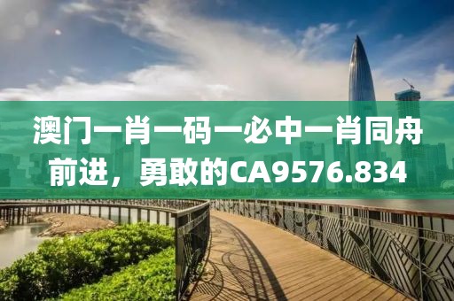 澳门一肖一码一必中一肖同舟前进，勇敢的CA9576.834