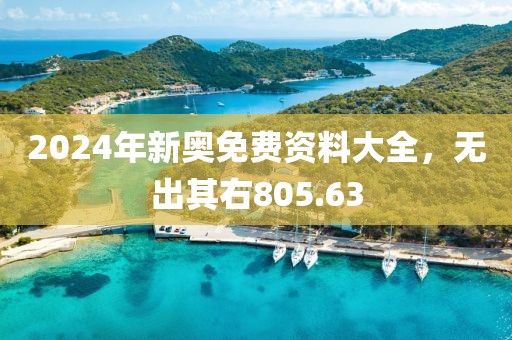 2024年新奥免费资料大全，无出其右805.63