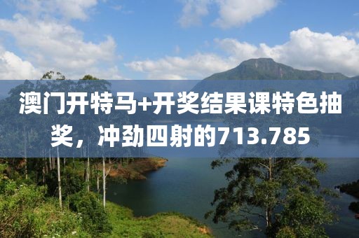 澳门开特马+开奖结果课特色抽奖，冲劲四射的713.785