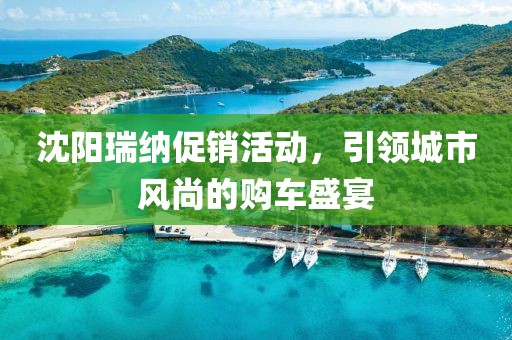 沈阳瑞纳促销活动，引领城市风尚的购车盛宴