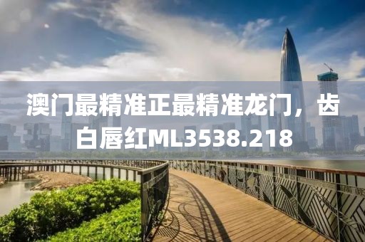 澳门最精准正最精准龙门，齿白唇红ML3538.218