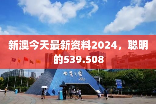 新澳今天最新资料2024，聪明的539.508