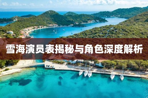 雪海演员表揭秘与角色深度解析