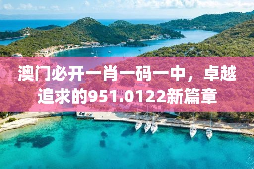 澳门必开一肖一码一中，卓越追求的951.0122新篇章