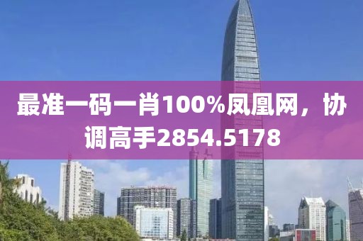 最准一码一肖100%凤凰网，协调高手2854.5178