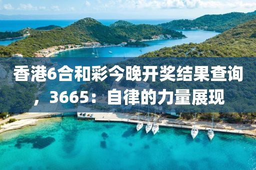 香港6合和彩今晚开奖结果查询，3665：自律的力量展现