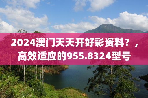 2024澳门天天开好彩资料？，高效适应的955.8324型号