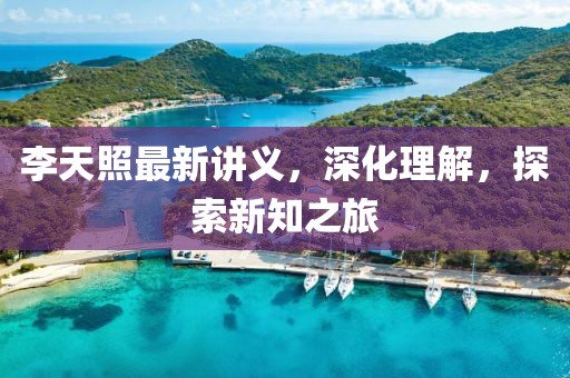 李天照最新讲义，深化理解，探索新知之旅