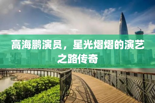 高海鹏演员，星光熠熠的演艺之路传奇
