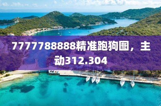 7777788888精准跑狗图，主动312.304