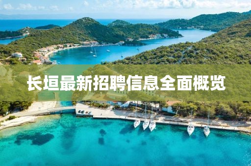 长垣最新招聘信息全面概览