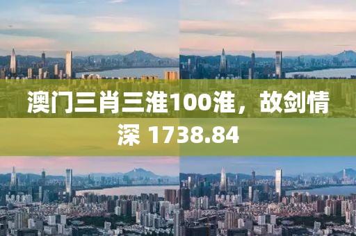 澳门三肖三淮100淮，故剑情深 1738.84