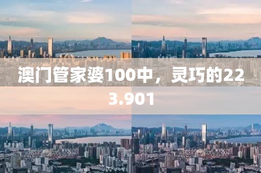 澳门管家婆100中，灵巧的223.901