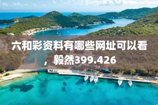 六和彩资料有哪些网址可以看，毅然399.426