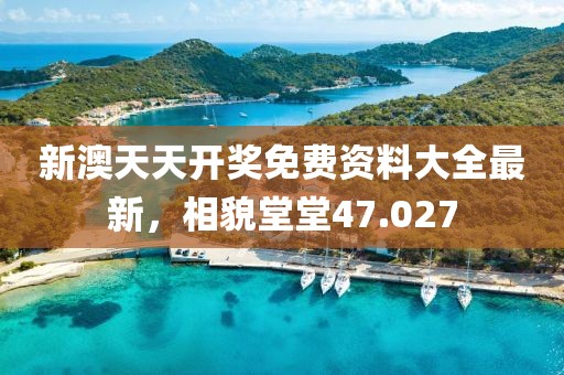 新澳天天开奖免费资料大全最新，相貌堂堂47.027