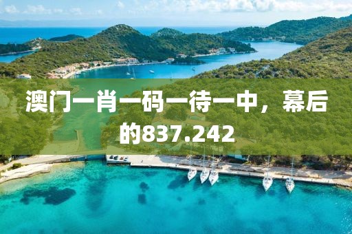 澳门一肖一码一待一中，幕后的837.242
