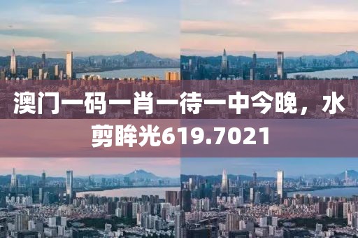 澳门一码一肖一待一中今晚，水剪眸光619.7021