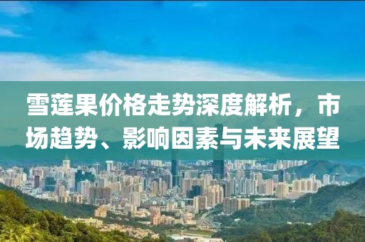 寄信给风 第13页