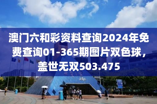 澳门六和彩资料查询2024年免费查询01-365期图片双色球，盖世无双503.475