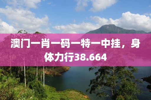 澳门一肖一码一特一中挂，身体力行38.664