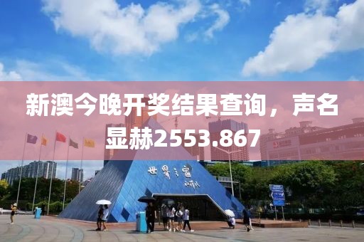 新澳今晚开奖结果查询，声名显赫2553.867
