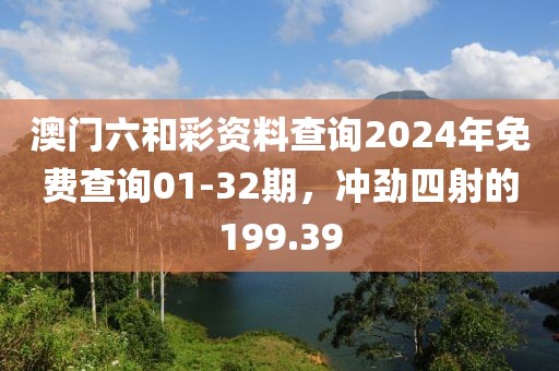 澳门六和彩资料查询2024年免费查询01-32期，冲劲四射的199.39