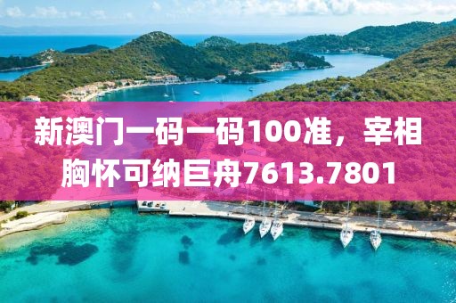 新澳门一码一码100准，宰相胸怀可纳巨舟7613.7801