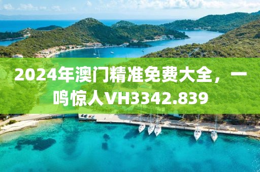2024年澳门精准免费大全，一鸣惊人VH3342.839
